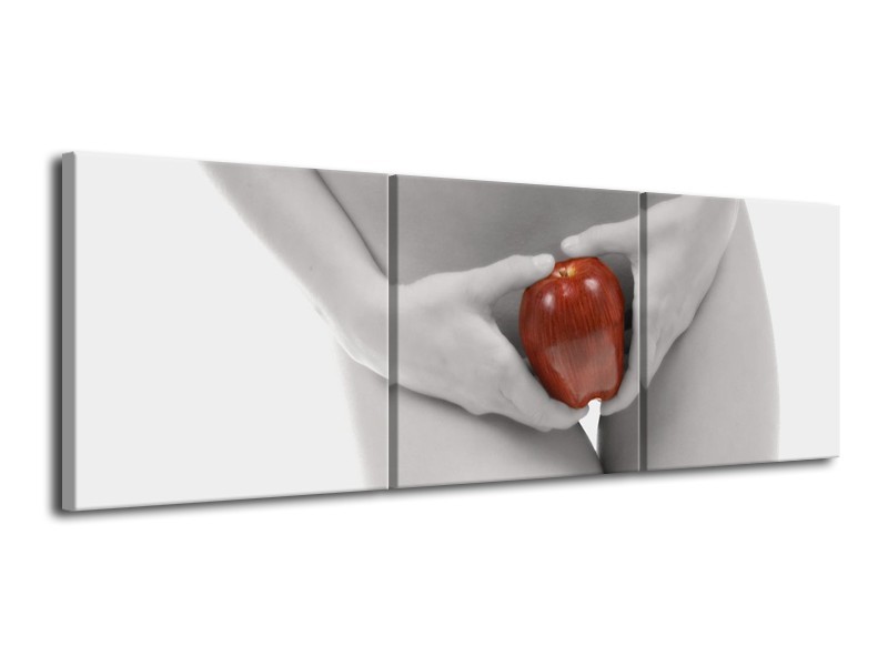 Canvas schilderij Appel | Rood, Grijs, Wit | 120x40cm 3Luik