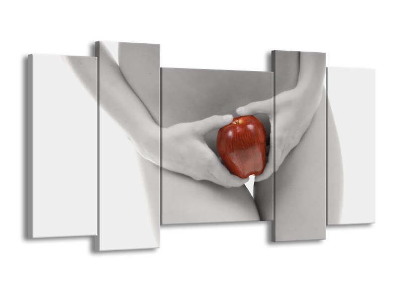 Canvas schilderij Appel | Rood, Grijs, Wit | 120x65 5Luik