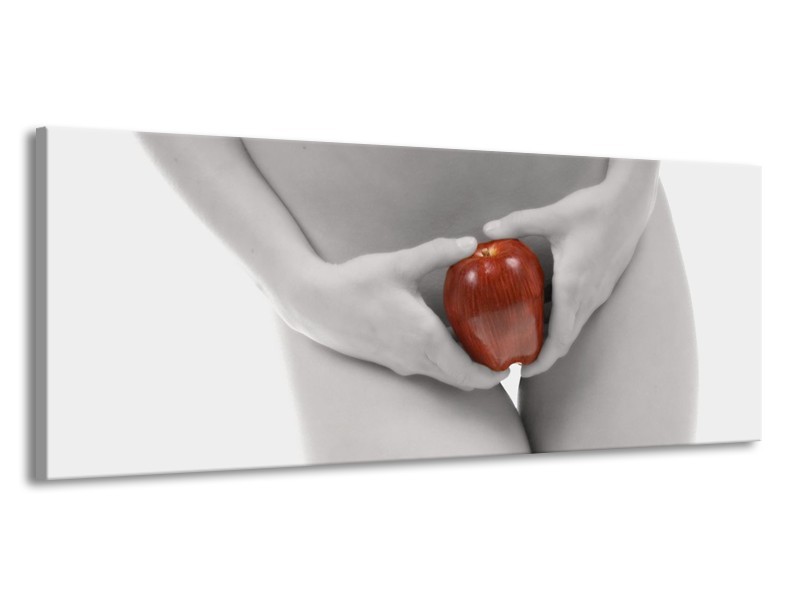 Canvas schilderij Appel | Rood, Grijs, Wit | 145x58cm 1Luik