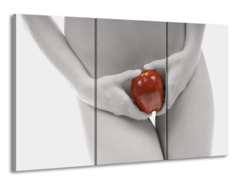 Canvas schilderij Appel | Rood, Grijs, Wit | 165x100cm 3Luik