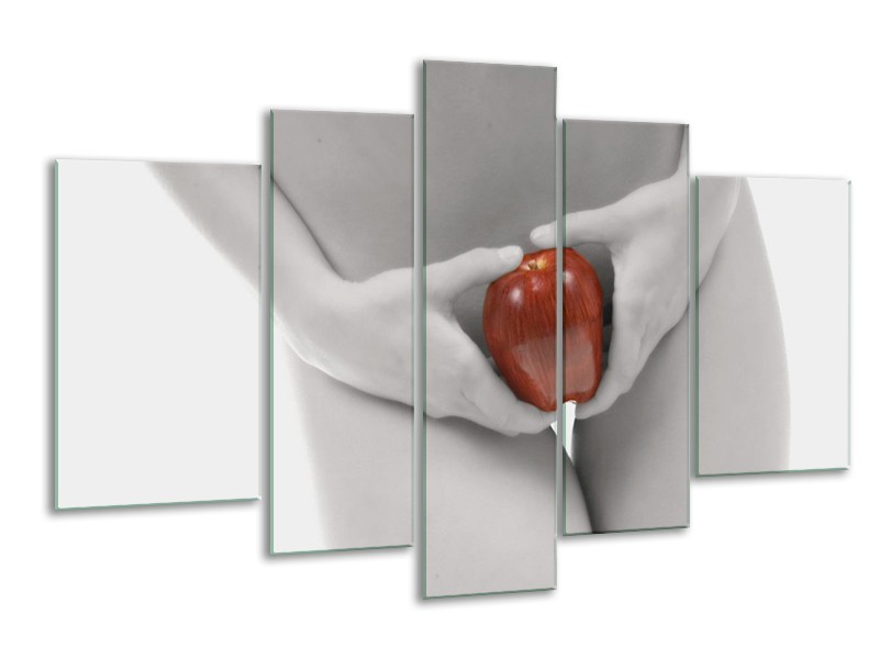 Canvas schilderij Appel | Rood, Grijs, Wit | 170x100cm 5Luik