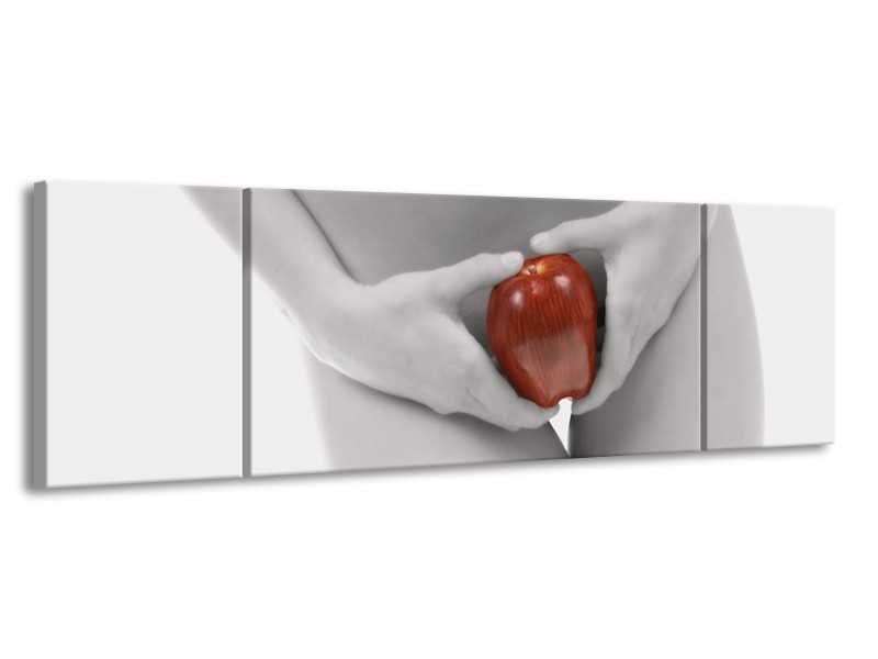 Glas schilderij Appel | Rood, Grijs, Wit | 170x50cm 3Luik