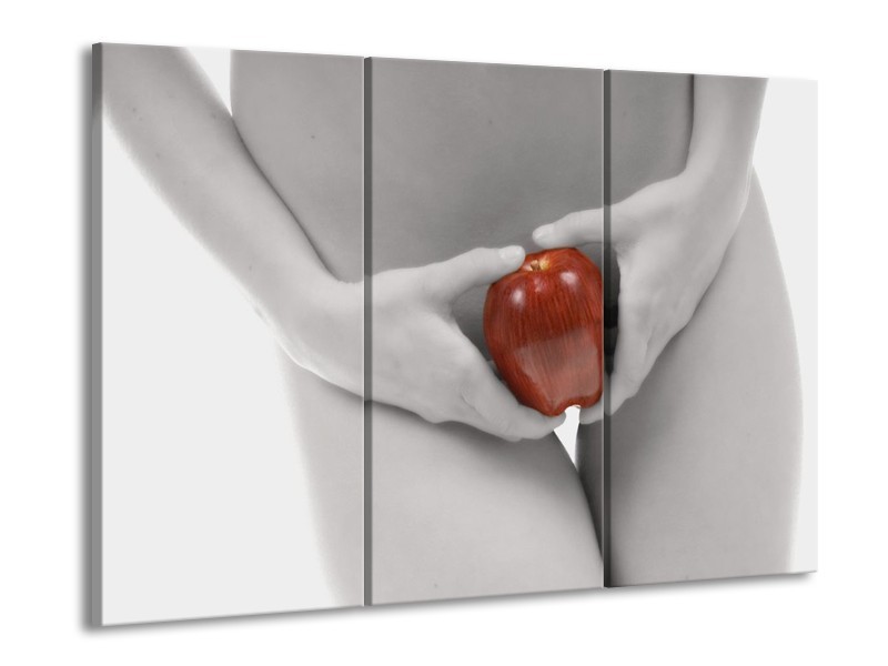Glas schilderij Appel | Rood, Grijs, Wit | 90x60cm 3Luik