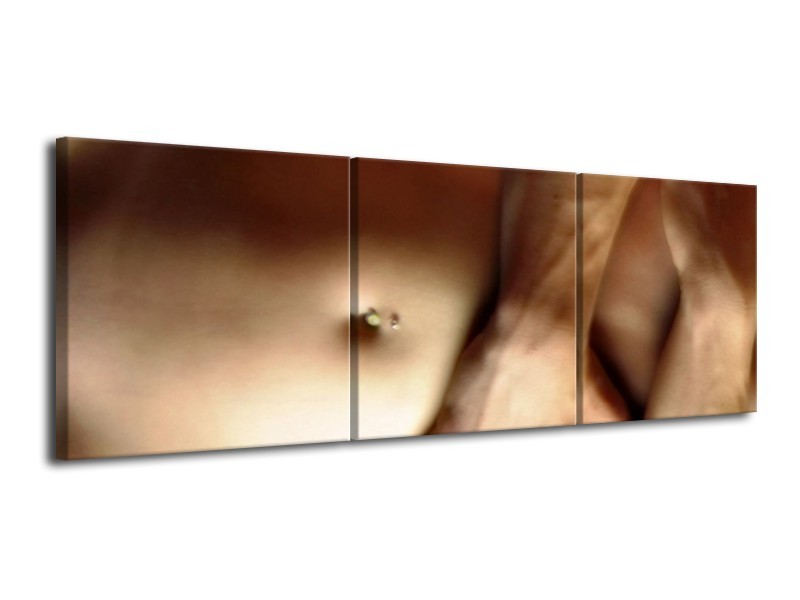 Canvas schilderij Lichaam | Crème, Bruin | 120x40cm 3Luik