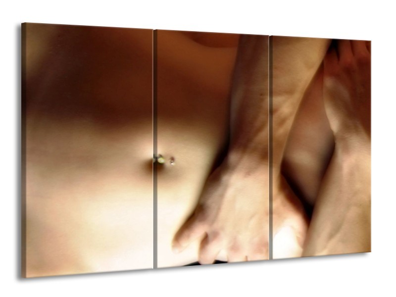 Canvas schilderij Lichaam | Crème, Bruin | 165x100cm 3Luik
