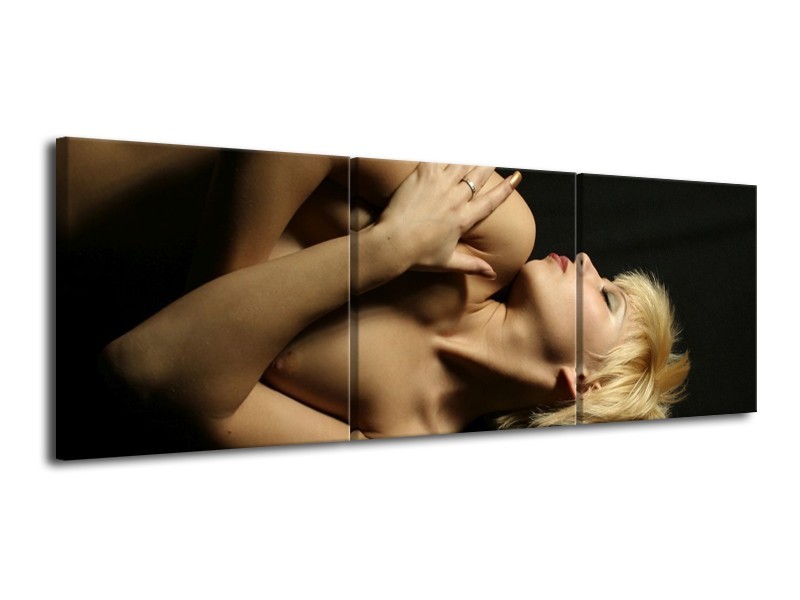 Glas schilderij Lichaam | Crème, Zwart | 120x40cm 3Luik