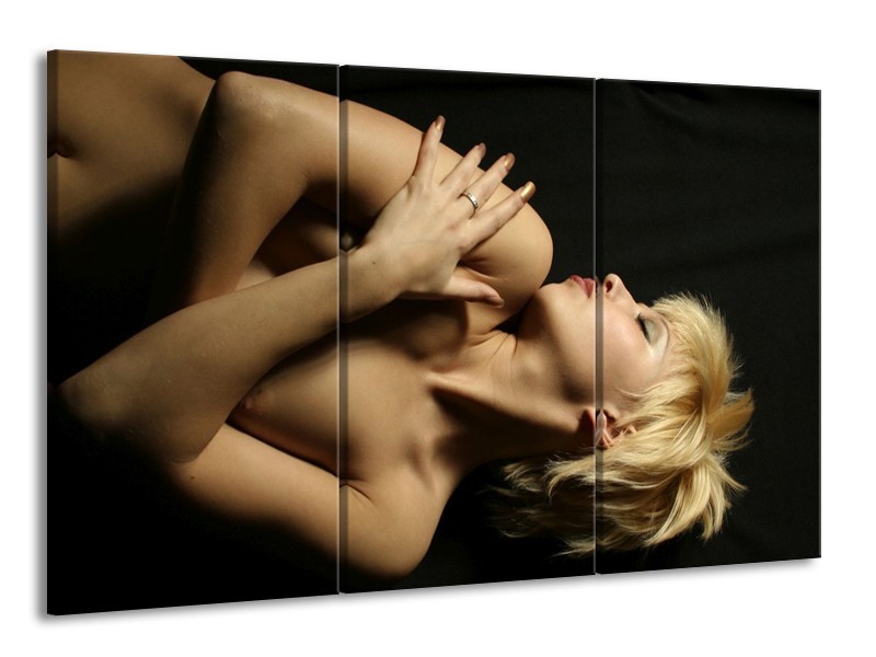 Canvas schilderij Lichaam | Crème, Zwart | 165x100cm 3Luik