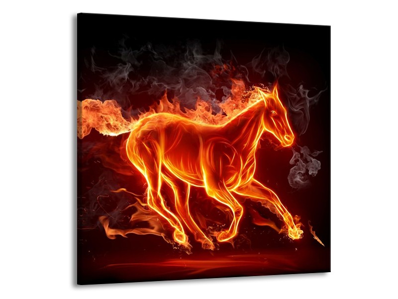 Canvas schilderij Paarden | Rood, Oranje, Zwart | 50x50cm 1Luik