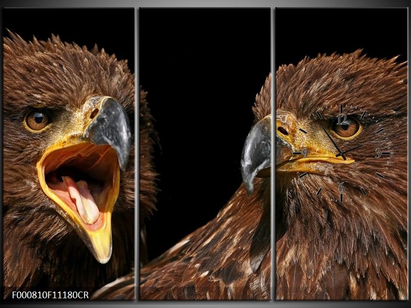 Klok schilderij Vogels | Geel, Bruin, Zwart | 111x80cm 3Luik