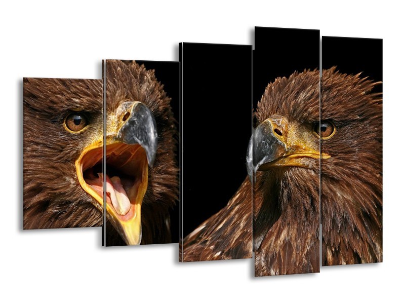 Canvas schilderij Vogels | Geel, Bruin, Zwart | 150x100cm 5Luik