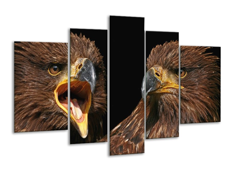 Canvas schilderij Vogels | Geel, Bruin, Zwart | 170x100cm 5Luik