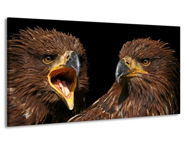 Canvas schilderij Vogels | Geel, Bruin, Zwart | 170x90cm 1Luik