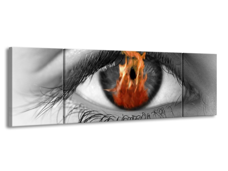 Canvas schilderij Ogen | Grijs, Oranje, Wit | 170x50cm 3Luik