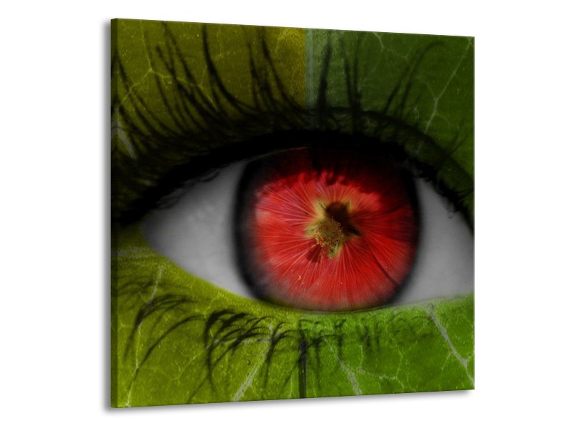 Glas schilderij Ogen | Groen, Rood, Zwart | 70x70cm 1Luik