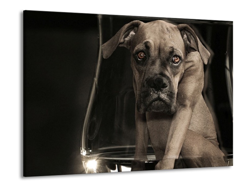 Canvas schilderij Hond | Grijs, Zwart, Wit | 100x70cm 1Luik