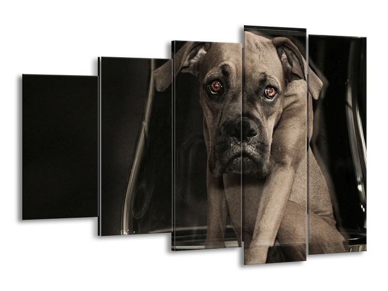 Glas schilderij Hond | Grijs, Zwart, Wit | 150x100cm 5Luik