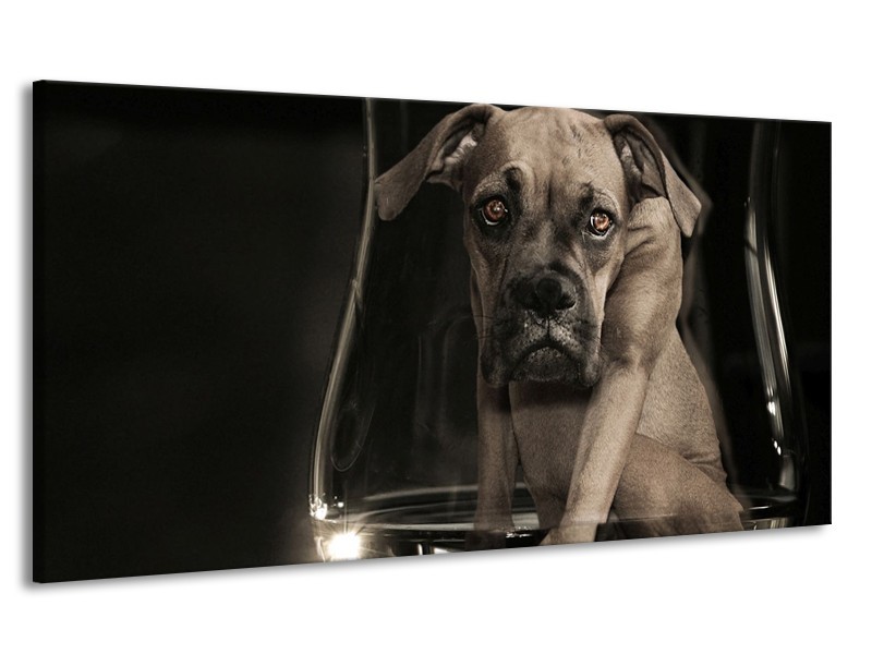 Canvas schilderij Hond | Grijs, Zwart, Wit | 170x90cm 1Luik