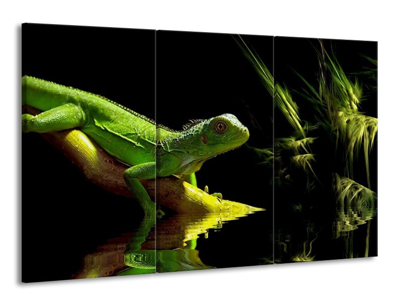 Canvas schilderij Leguaan | Groen, Zwart, Geel | 165x100cm 3Luik