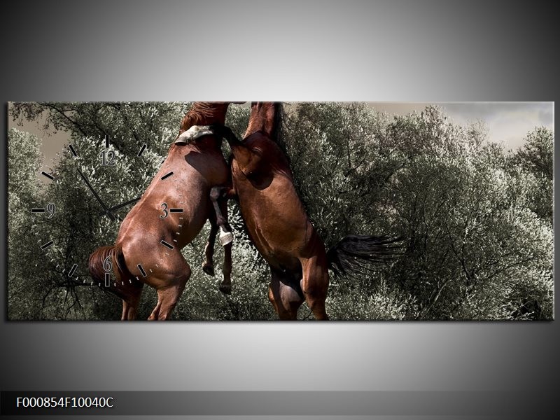 Klok schilderij Paarden | Bruin, Grijs | 100x40cm 1Luik