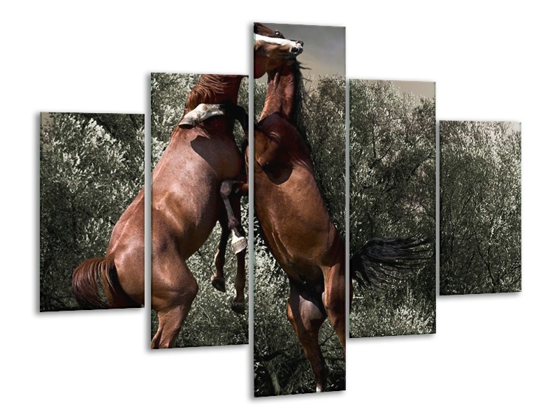 Canvas schilderij Paarden | Bruin, Grijs | 100x70cm 5Luik