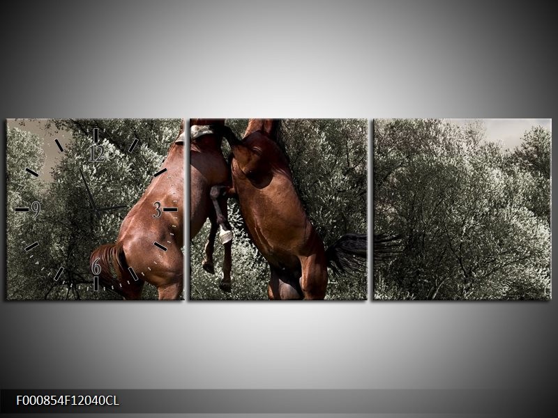 Klok schilderij Paarden | Bruin, Grijs | 120x40cm 3Luik