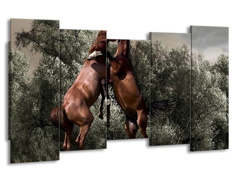 Canvas schilderij Paarden | Bruin, Grijs | 150x80cm 5Luik