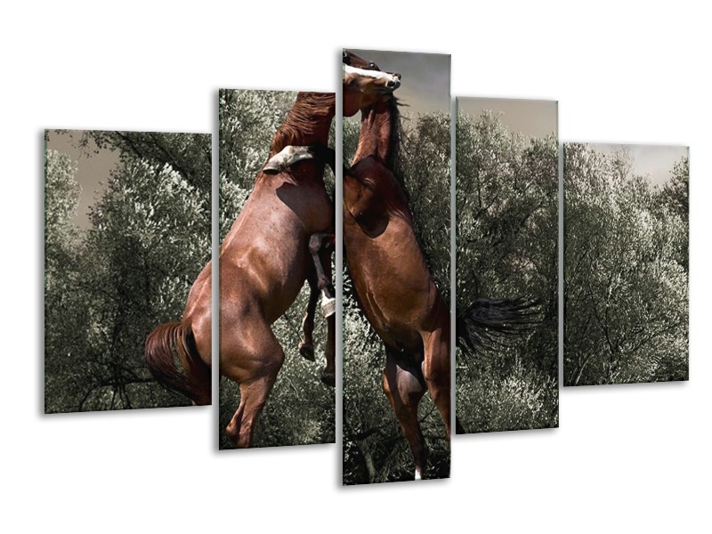 Glas schilderij Paarden | Bruin, Grijs | 170x100cm 5Luik