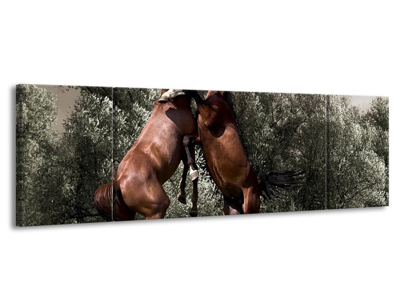 Glas schilderij Paarden | Bruin, Grijs | 170x50cm 3Luik
