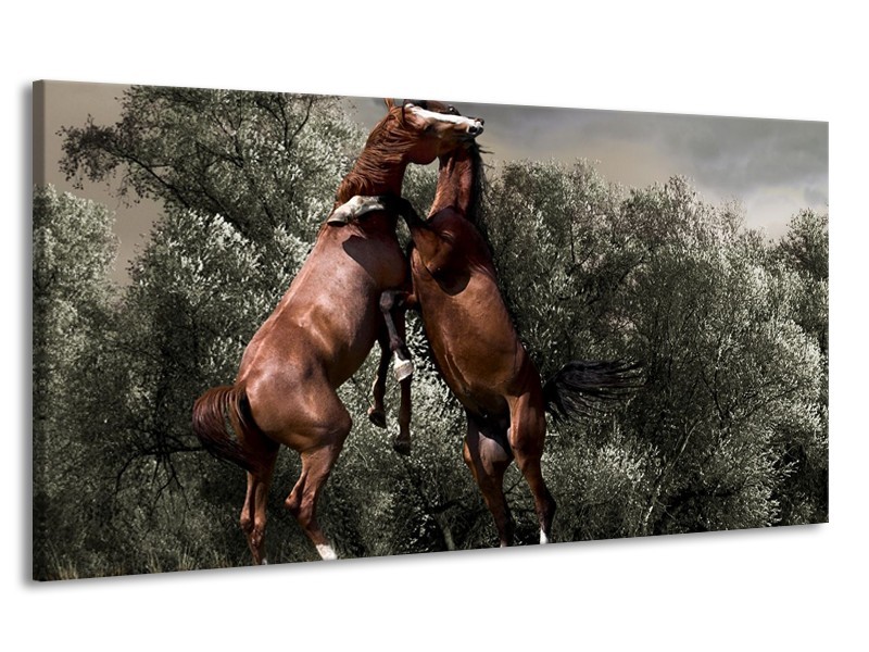 Canvas schilderij Paarden | Bruin, Grijs | 170x90cm 1Luik