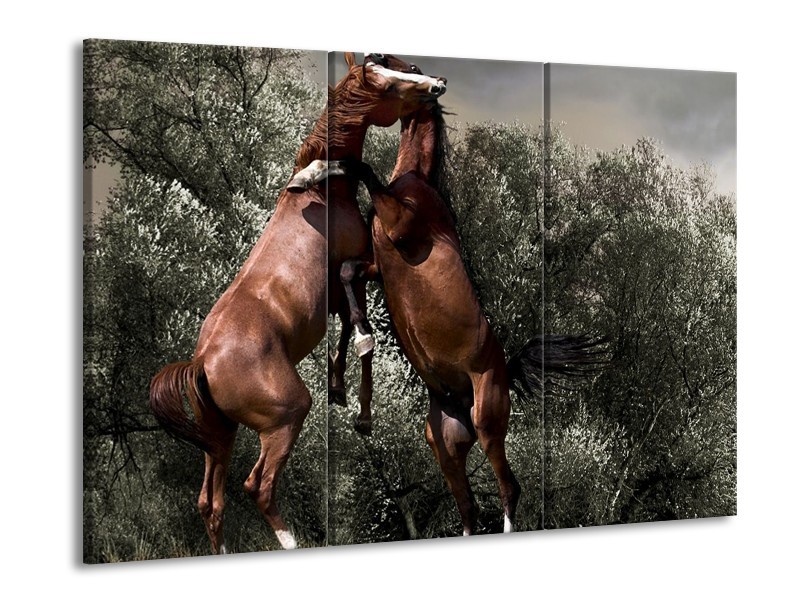 Canvas schilderij Paarden | Bruin, Grijs | 90x60cm 3Luik