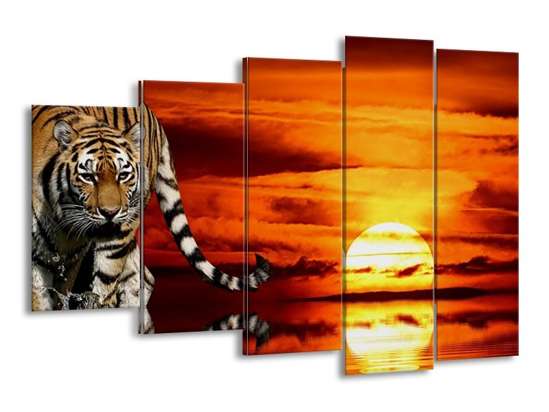 Canvas schilderij Tijger | Bruin, Oranje, Rood | 150x100cm 5Luik