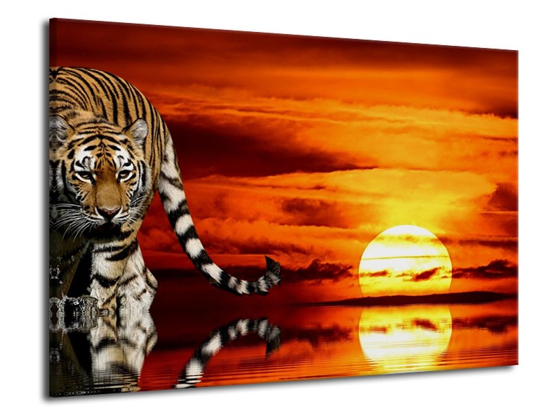 Canvas schilderij Tijger | Bruin, Oranje, Rood | 70x50cm 1Luik