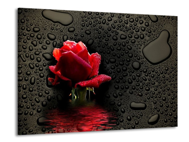 Canvas schilderij Roos | Rood, Zwart, Wit | 100x70cm 1Luik