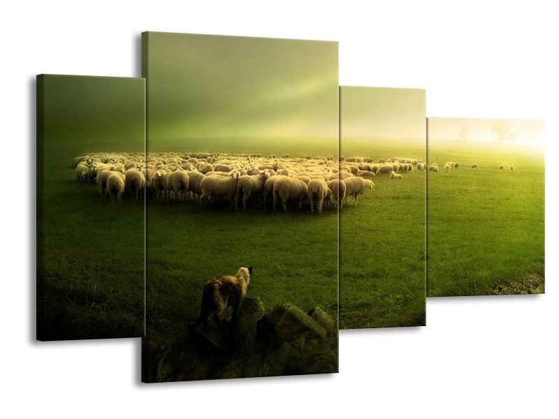 Canvas schilderij Schaap | Groen, Geel, Wit | 120x75cm 4Luik