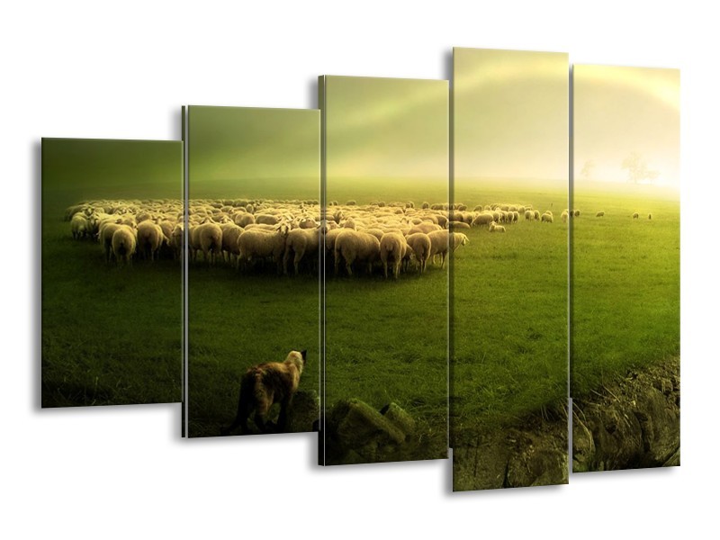 Glas schilderij Schaap | Groen, Geel, Wit | 150x100cm 5Luik