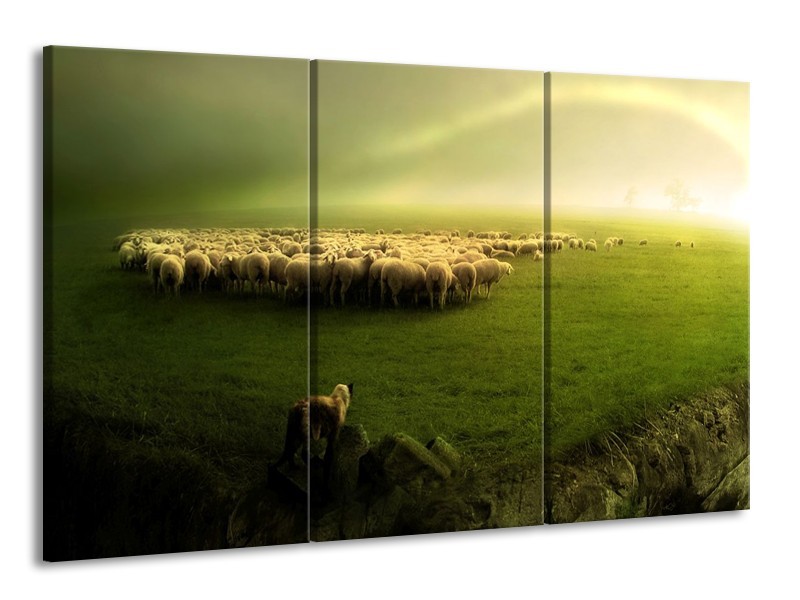 Glas schilderij Schaap | Groen, Geel, Wit | 165x100cm 3Luik