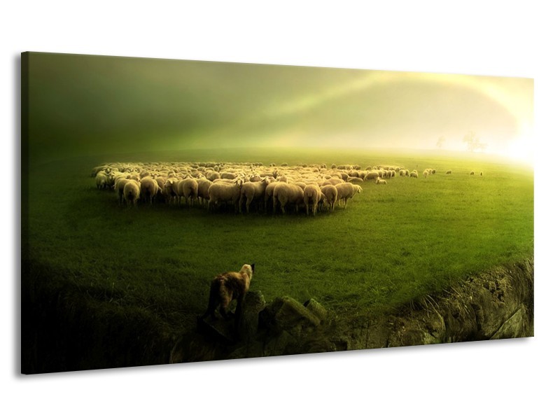 Canvas schilderij Schaap | Groen, Geel, Wit | 170x90cm 1Luik