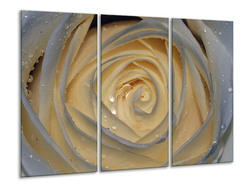 Canvas schilderij Roos | Wit, Geel, Grijs | 120x80cm 3Luik