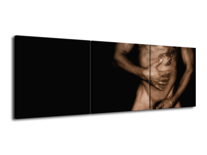 Glas schilderij Lichaam | Zwart, Sepia | 120x40cm 3Luik