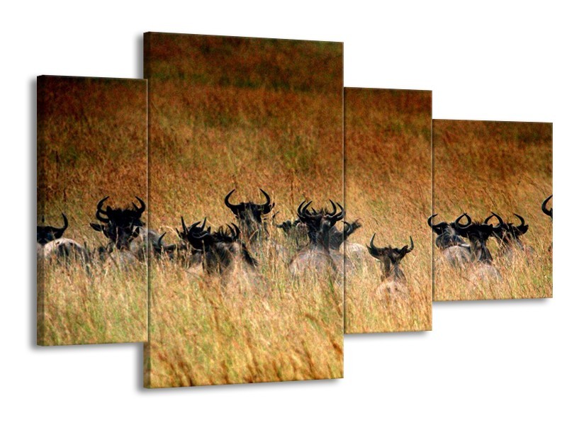 Canvas schilderij Dieren | Bruin | 120x75cm 4Luik