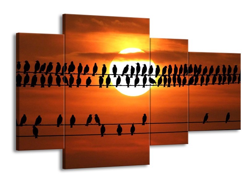 Glas schilderij Vogels | Zwart, Geel, Oranje | 120x75cm 4Luik