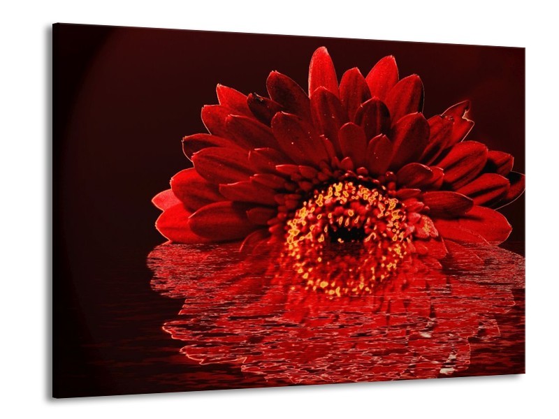 Canvas schilderij Bloem | Rood, Zwart | 100x70cm 1Luik