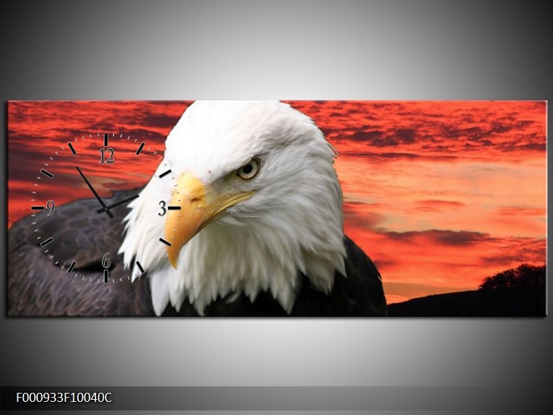 Klok schilderij Vogel | Wit, Rood, Zwart | 100x40cm 1Luik
