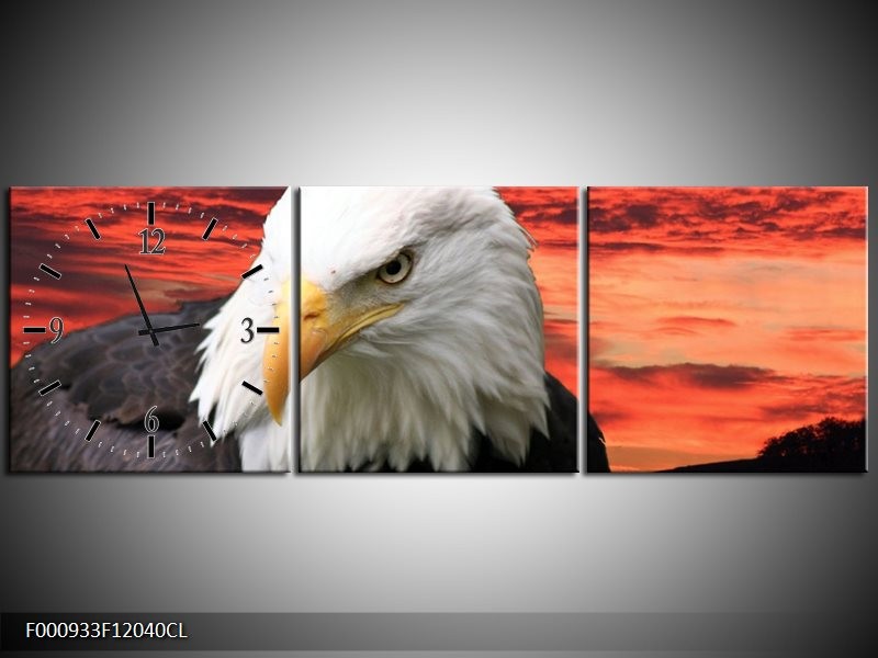 Klok schilderij Vogel | Wit, Rood, Zwart | 120x40cm 3Luik