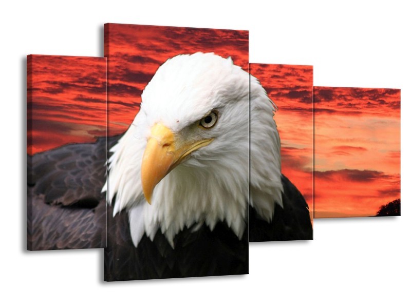 Canvas schilderij Vogel | Wit, Rood, Zwart | 120x75cm 4Luik