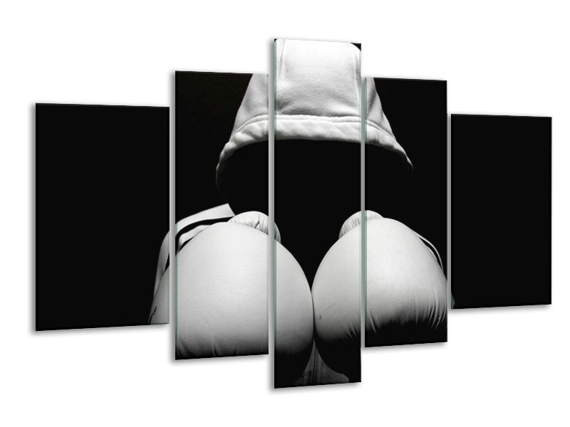 Canvas schilderij Sport | Wit, Zwart, Grijs | 170x100cm 5Luik