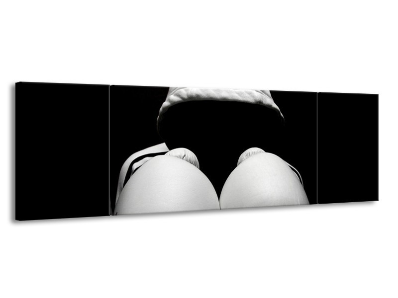 Canvas schilderij Sport | Wit, Zwart, Grijs | 170x50cm 3Luik