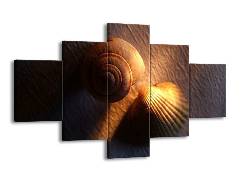 Canvas schilderij Schelpen | Geel, Zwart | 125x70cm 5Luik