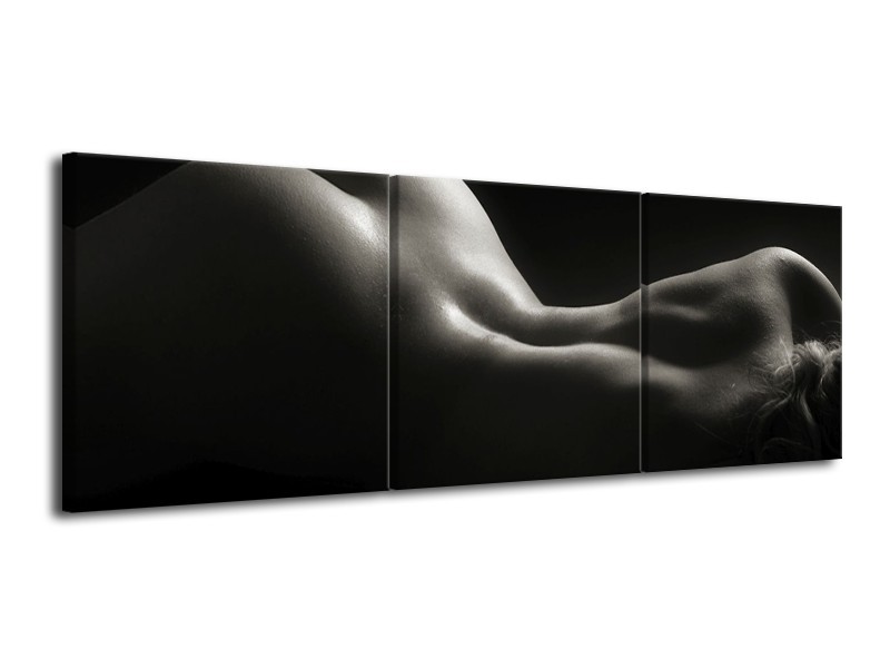 Canvas schilderij Lichaam | Zwart, Wit, Grijs | 120x40cm 3Luik