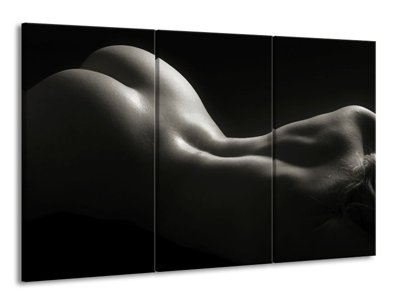 Canvas schilderij Lichaam | Zwart, Wit, Grijs | 165x100cm 3Luik